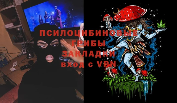 тгк Белокуриха